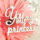 Чипборд Надпись You are my princess Hi-375