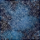 Лист бумаги с фольгированием Silver Poinsettia Night garden 30х30см