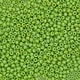 Бисер Preciosa 10/0 54310, 5г