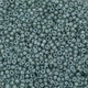 Бисер Preciosa 10/0 48055, 5г