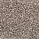 Бисер Preciosa 10/0 18141, 5г