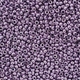 Бисер Preciosa 10/0 18123, 5г