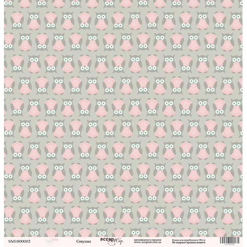 Лист бумаги Baby Girl - Совушка 30х30см ТМ Скрапмир