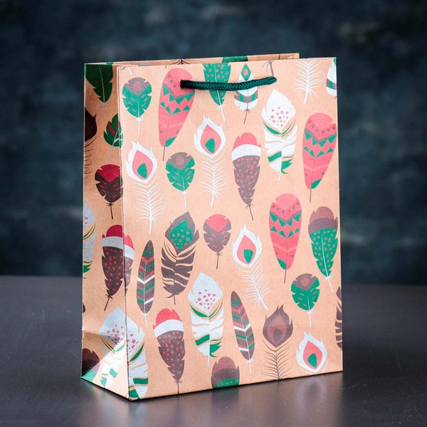 Пакет крафт Пёрышки 19х24х8см, 3681231